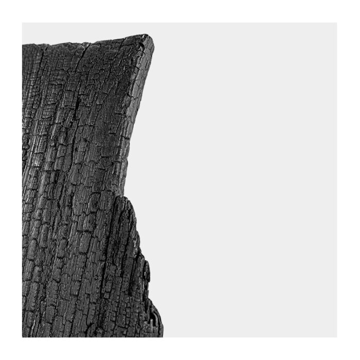 Chloe Carbonized - Imagen 6